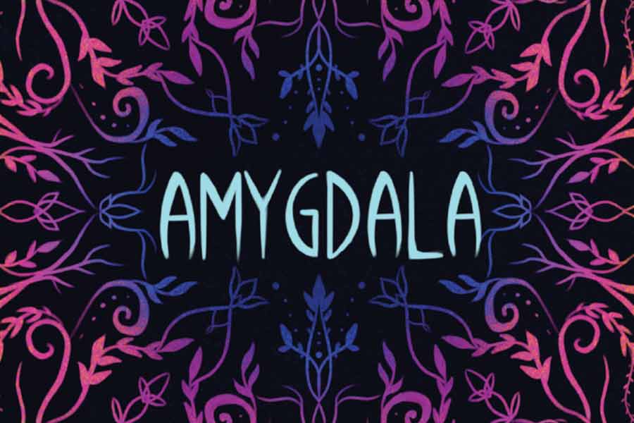 Amygdala - Ausschnitt - Foto von Game Brewer