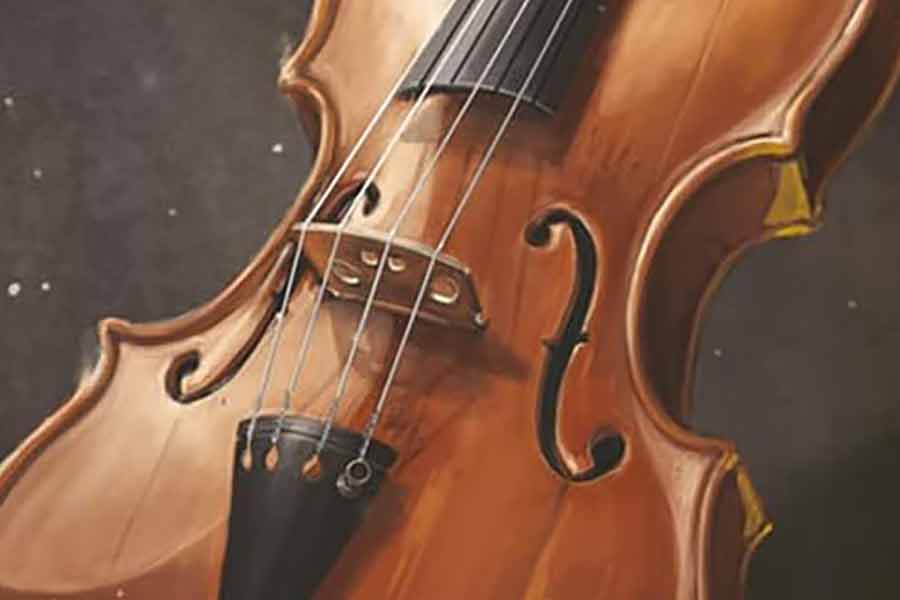 Echoes: Die Violine - Ausschnitt - Foto von Ravensburger